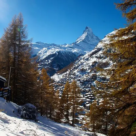شاليه Chalet Bergheim