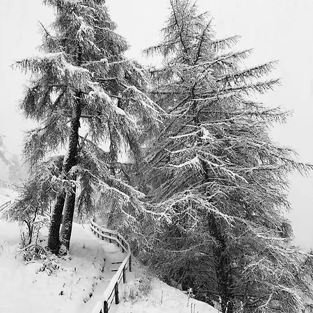 Chalet Bergheim شاليه زيرمات